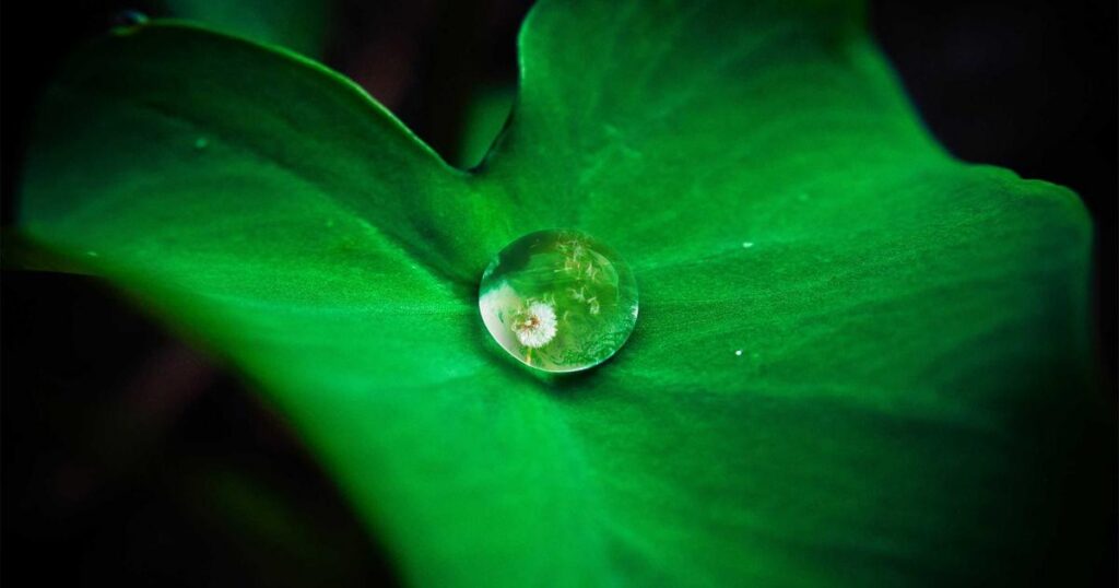 Smart Home Leak Detectors Under 100 For Water Damage Prevention (Updated Guide)